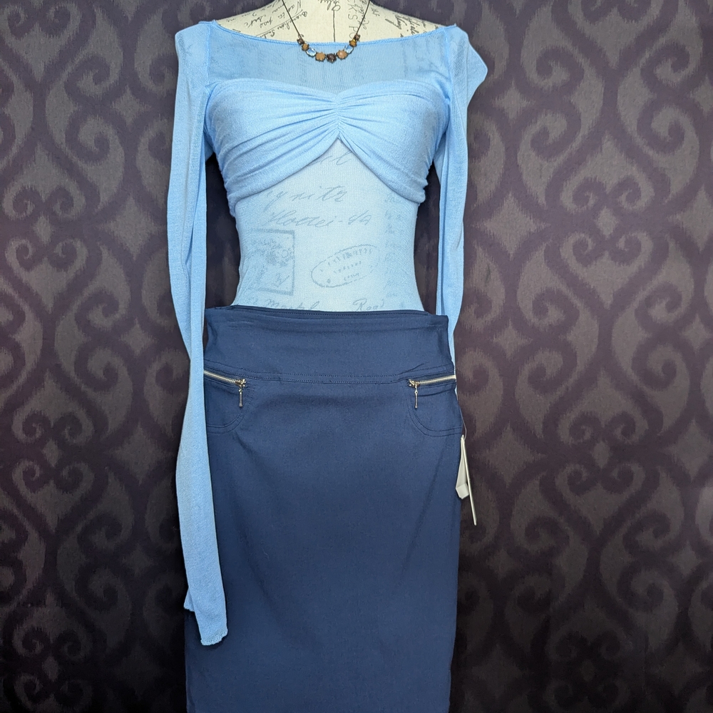 Elegant Navy Blue Skirt & Sheer Top